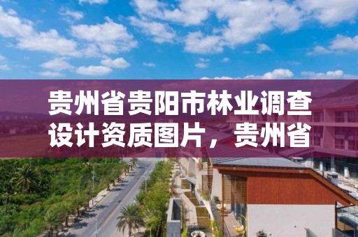 贵州省贵阳市林业调查设计资质图片,贵州省林业局调查规划院