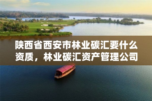 陕西省西安市林业碳汇要什么资质,林业碳汇资产管理公司