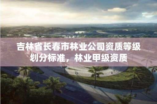 吉林省长春市林业公司资质等级划分标准,林业甲级资质