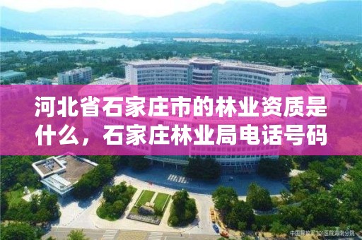 河北省石家庄市的林业资质是什么,石家庄林业局电话号码