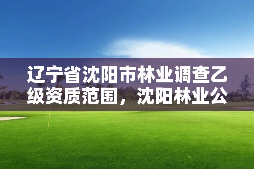 辽宁省沈阳市林业调查乙级资质范围,沈阳林业公司