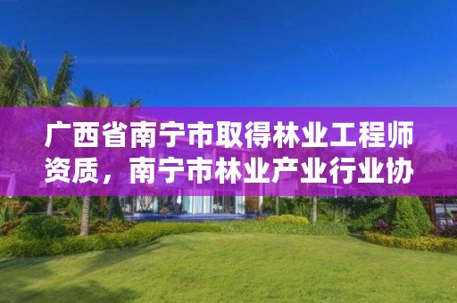 广西省南宁市取得林业工程师资质,南宁市林业产业行业协会