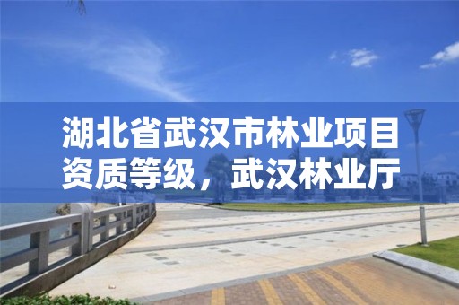 湖北省武汉市林业项目资质等级，武汉林业厅
