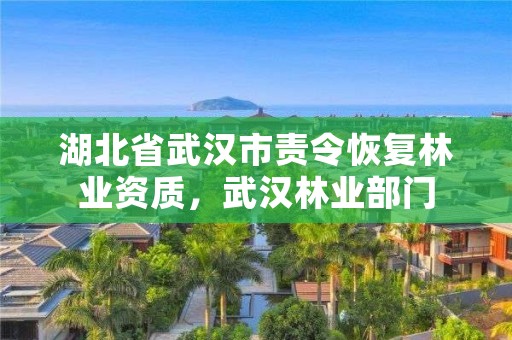 湖北省武汉市责令恢复林业资质，武汉林业部门