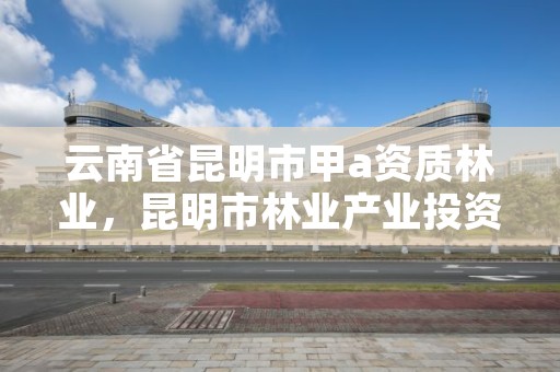 云南省昆明市甲a资质林业,昆明市林业产业投资开发有限公司
