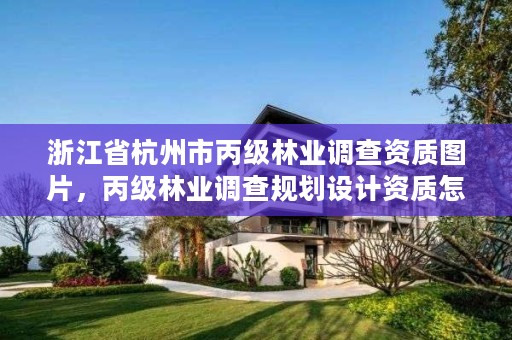 浙江省杭州市丙级林业调查资质图片,丙级林业调查规划设计资质怎么办