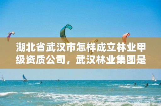 湖北省武汉市怎样成立林业甲级资质公司，武汉林业集团是国企吗