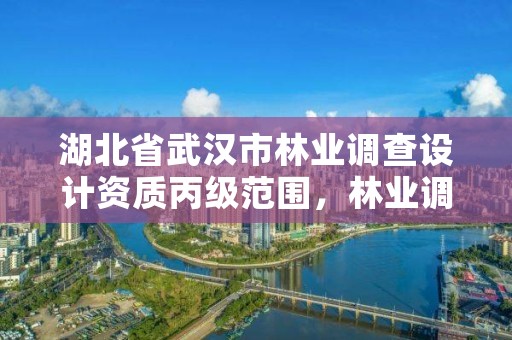 湖北省武汉市林业调查设计资质丙级范围，林业调查规划设计乙级资质公司