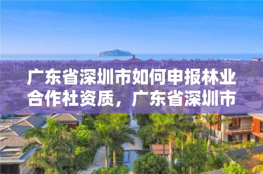 广东省深圳市如何申报林业合作社资质，广东省深圳市如何申报林业合作社资质证书