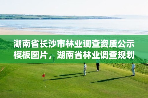 湖南省长沙市林业调查资质公示模板图片，湖南省林业调查规划设计院