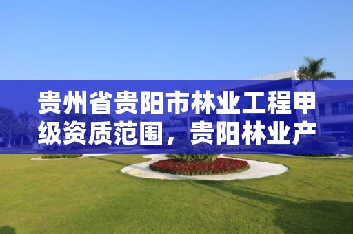 贵州省贵阳市林业工程甲级资质范围,贵阳林业产业发展有限公司待遇