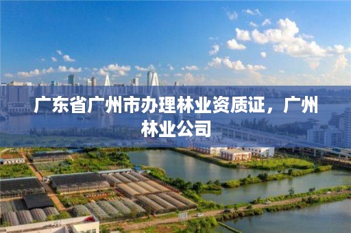 广东省广州市办理林业资质证，广州林业公司