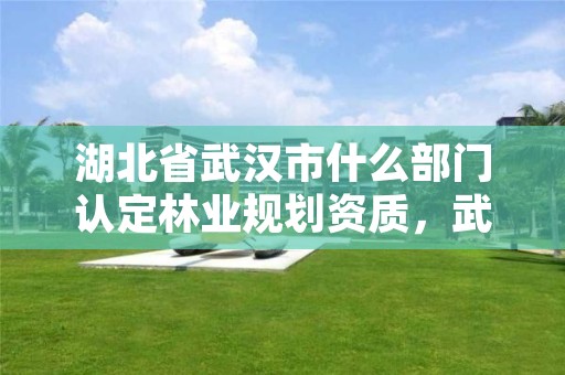 湖北省武汉市什么部门认定林业规划资质，武汉林业调查规划院