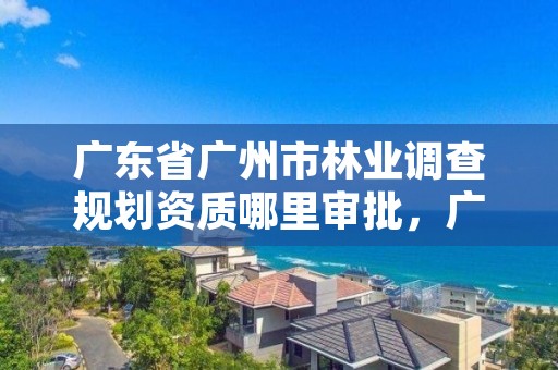 广东省广州市林业调查规划资质哪里审批，广东省林业调查规划院工程师