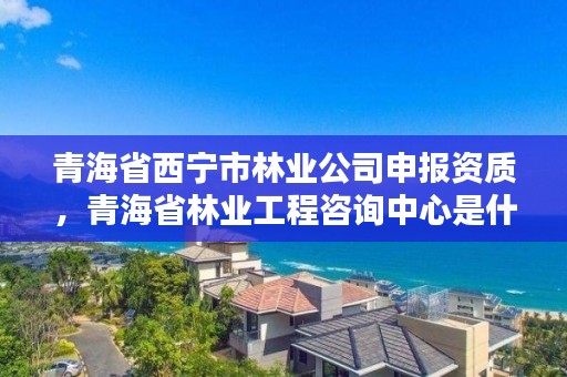 青海省西宁市林业公司申报资质，青海省林业工程咨询中心是什么性质的单位