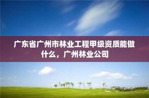 广东省广州市林业工程甲级资质能做什么，广州林业公司