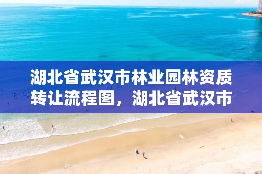 湖北省武汉市林业园林资质转让流程图，湖北省武汉市林业园林资质转让流程图表