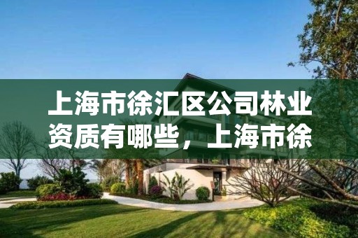 上海市徐汇区公司林业资质有哪些,上海市徐汇区公司林业资质有哪些项目
