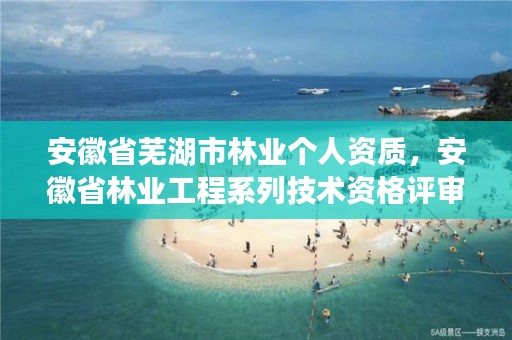 安徽省芜湖市林业个人资质,安徽省林业工程系列技术资格评审标准条件