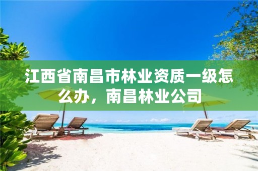 江西省南昌市林业资质一级怎么办,南昌林业公司