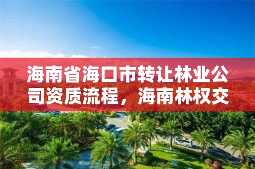 海南省海口市转让林业公司资质流程,海南林权交易中心