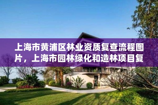 上海市黄浦区林业资质复查流程图片,上海市园林绿化和造林项目复检复查情况表