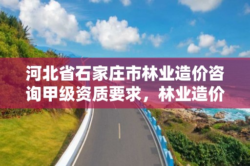 河北省石家庄市林业造价咨询甲级资质要求，林业造价员证有用吗