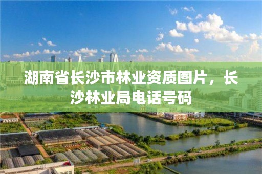 湖南省长沙市林业资质图片，长沙林业局电话号码