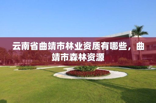 云南省曲靖市林业资质有哪些,曲靖市森林资源