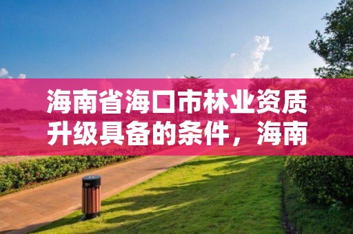 海南省海口市林业资质升级具备的条件,海南省2020年林业改革发展资金用途
