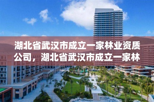 湖北省武汉市成立一家林业资质公司，湖北省武汉市成立一家林业资质公司名单
