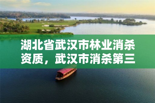 湖北省武汉市林业消杀资质，武汉市消杀第三方公司名单