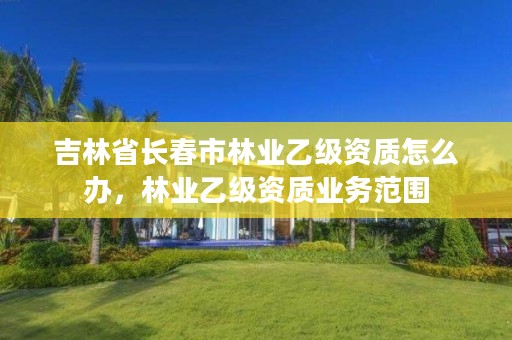 吉林省长春市林业乙级资质怎么办,林业乙级资质业务范围