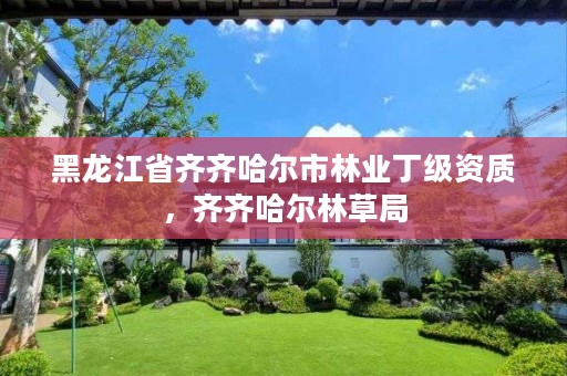 黑龙江省齐齐哈尔市林业丁级资质,齐齐哈尔林草局