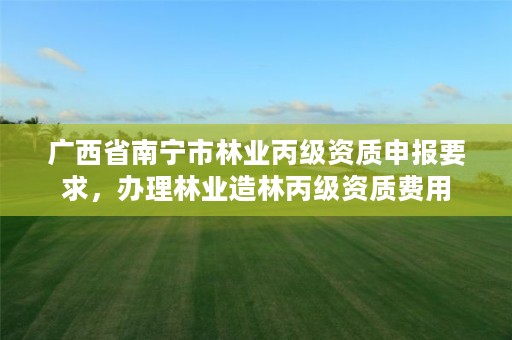 广西省南宁市林业丙级资质申报要求,办理林业造林丙级资质费用