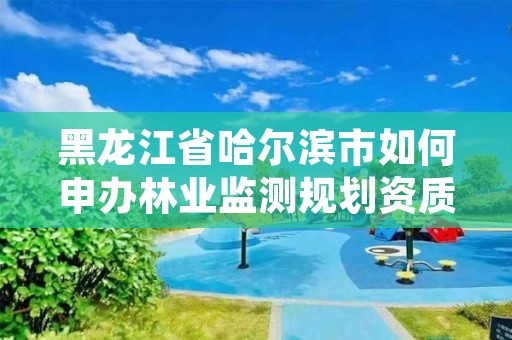 黑龙江省哈尔滨市如何申办林业监测规划资质,哈尔滨附近的林业局