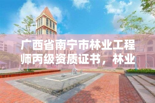 广西省南宁市林业工程师丙级资质证书,林业工程师资格证