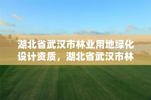 湖北省武汉市林业用地绿化设计资质，湖北省武汉市林业用地绿化设计资质取消了吗