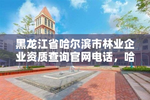 黑龙江省哈尔滨市林业企业资质查询官网电话,哈尔滨林业部门电话