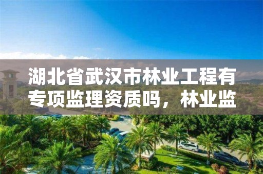 湖北省武汉市林业工程有专项监理资质吗，林业监理公司