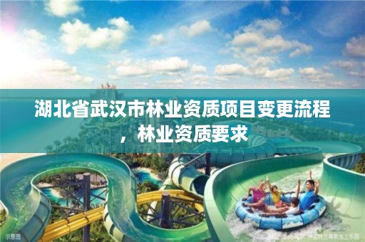 湖北省武汉市林业资质项目变更流程，林业资质要求