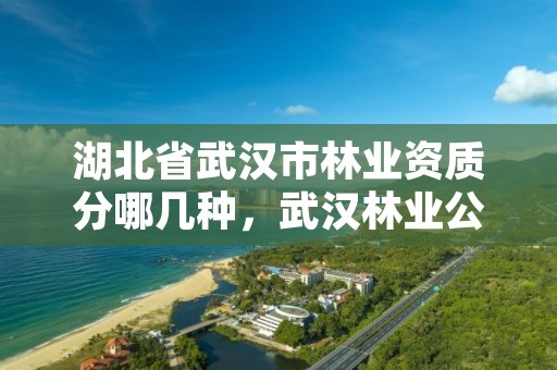 湖北省武汉市林业资质分哪几种，武汉林业公司有哪些