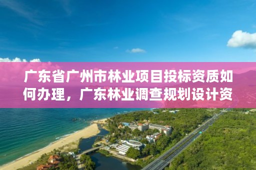 广东省广州市林业项目投标资质如何办理，广东林业调查规划设计资质