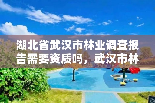 湖北省武汉市林业调查报告需要资质吗，武汉市林业调查规划设计有限公司