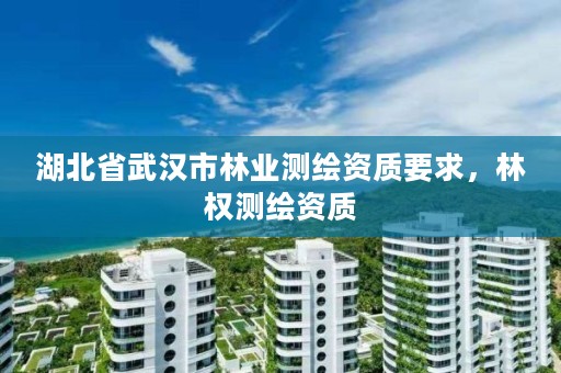 湖北省武汉市林业测绘资质要求，林权测绘资质
