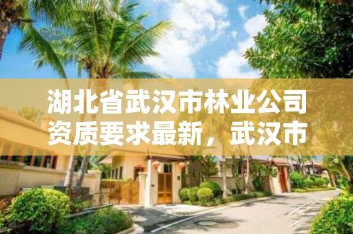 湖北省武汉市林业公司资质要求最新，武汉市林业集团有限公司