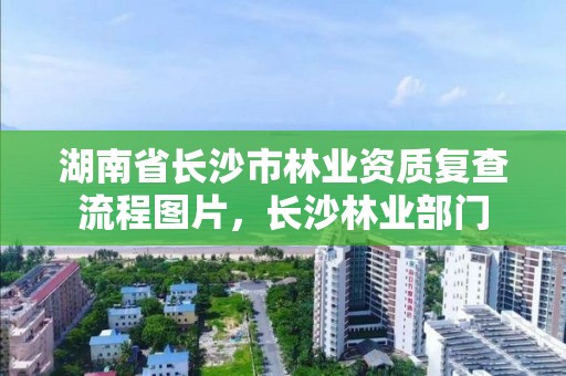 湖南省长沙市林业资质复查流程图片，长沙林业部门