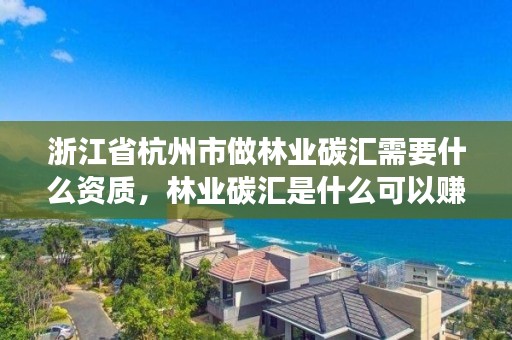 浙江省杭州市做林业碳汇需要什么资质,林业碳汇是什么可以赚钱吗