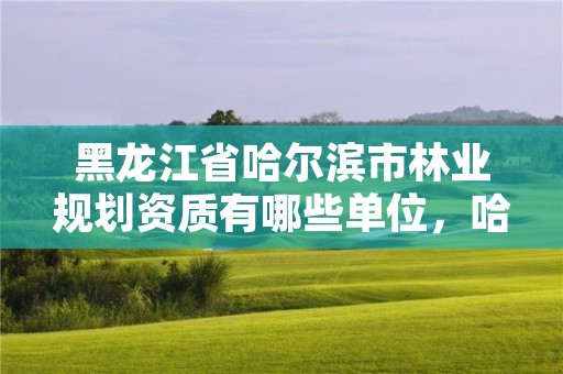 黑龙江省哈尔滨市林业规划资质有哪些单位,哈尔滨林业厅地址