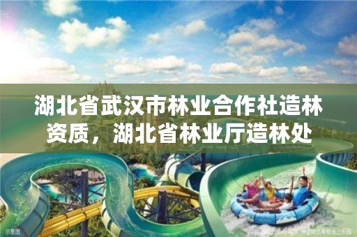 湖北省武汉市林业合作社造林资质，湖北省林业厅造林处